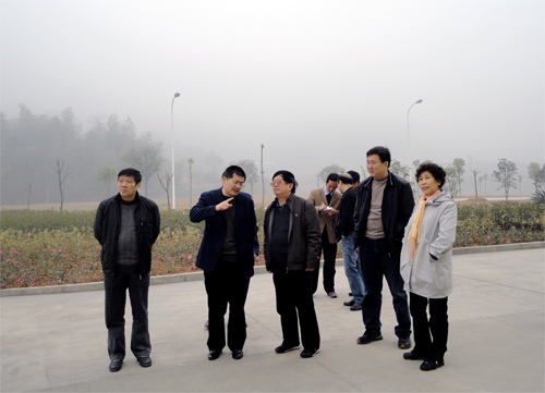 k1体育 - 十年品牌 值得信任